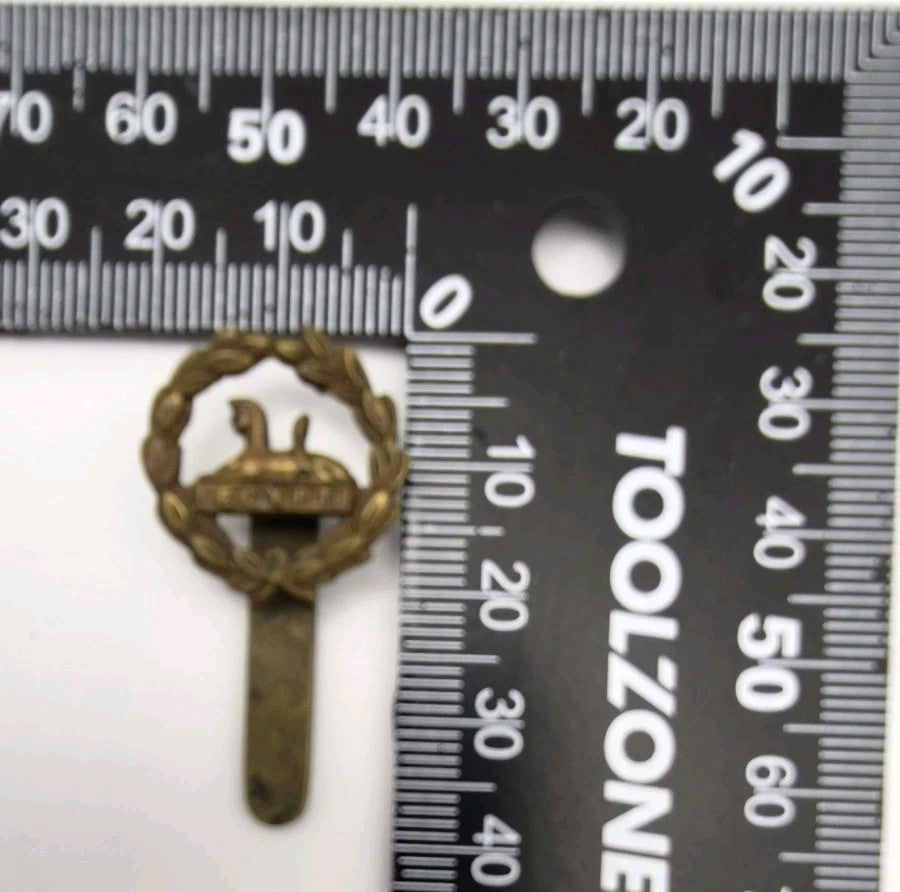 The Gloucestershire Regiment Rear Cap Badge, Fine Vintage Condition8