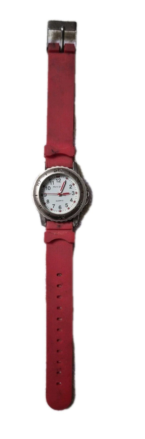 Pierre Gordni Ladies Quartz Wristwatch3