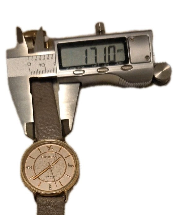 Fiorelli Ladies Quartz Wristwatch6