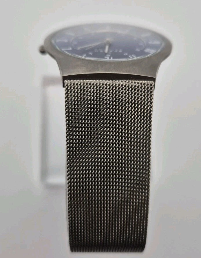 Skagen Denmark 233XLTTN Titanium Blue Dial Mesh Quartz Watch Date  Box4